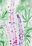 Lupinen, 20 x 60 Aquarell auf Leinwand